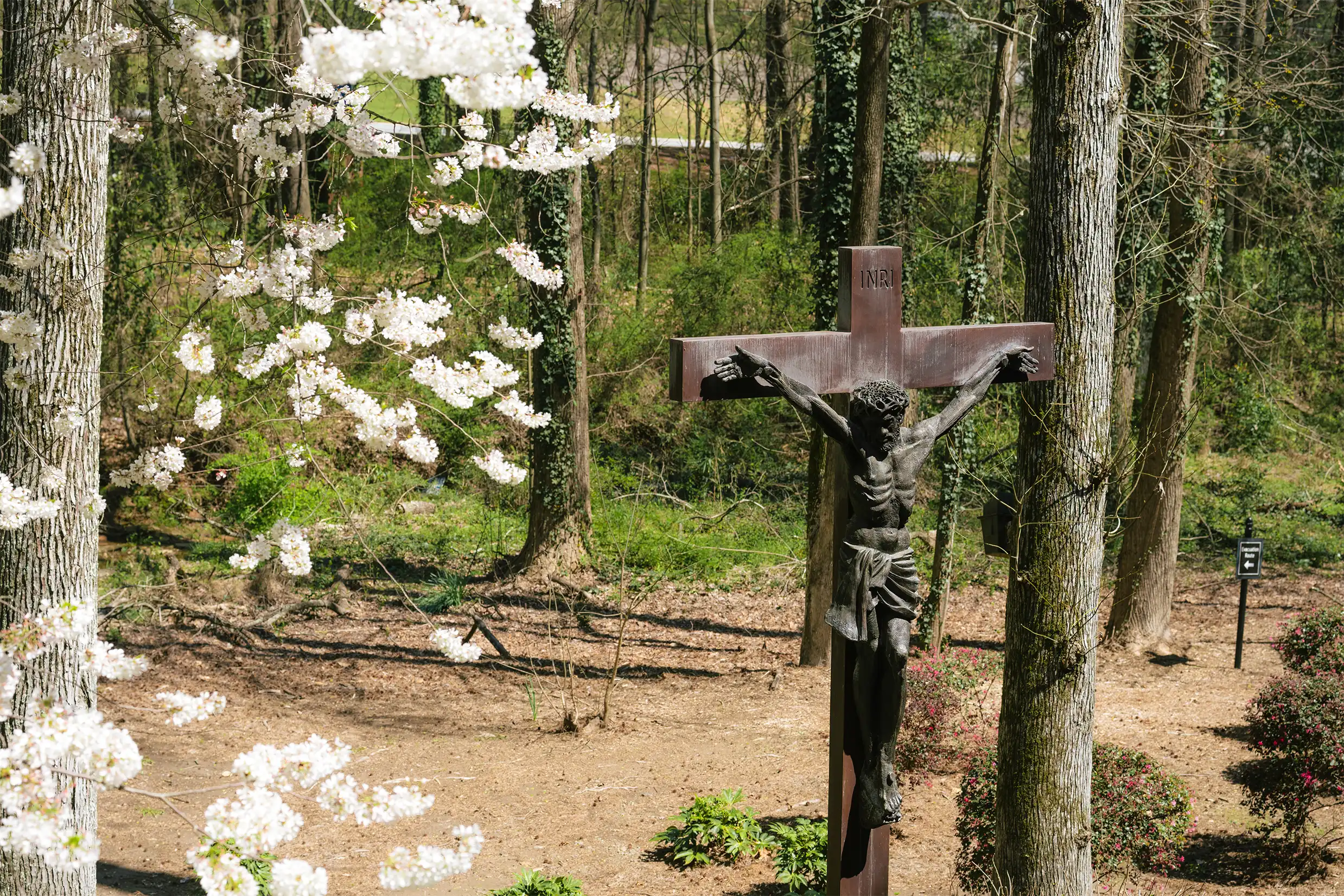 Chancery Cross Spring